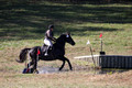 Amy Kryder on Rhianna, Beginner Novice Horse Trials Senior C