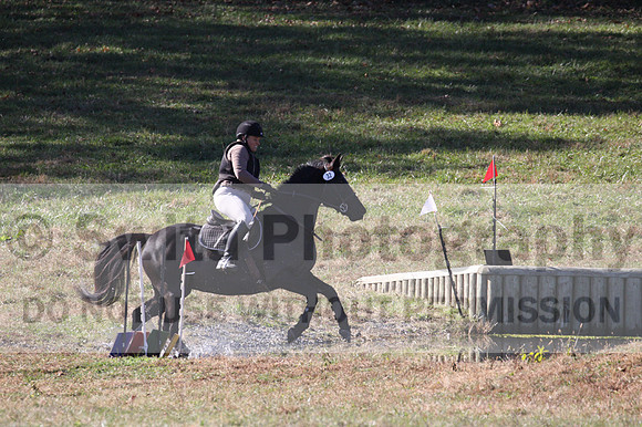 Amy Kryder on Rhianna, Beginner Novice Horse Trials Senior C