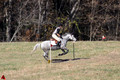 Josie Howard on Shenandoah Sea Lily, Beginner Novice Horse Trials Senior B