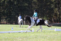 Kaitlyn Schmidt on Dandy, Advanced Green Horse Trials A
