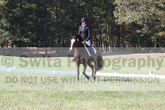 Elaine Groves on Luidonna, Beginner Novice Horse Trials Senior B