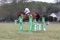Lindsey Lanier on Fernhill Hustler, OI