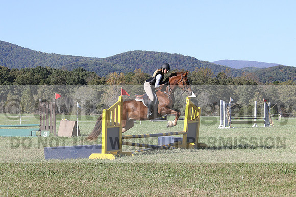 Haley Morrissey on Picturesque Serenade, Advanced Green Horse Trials A