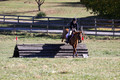 Theresa Thompson on Rated PG, Novice Horse Trials Senior