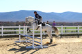 Jennifer Cobb on Snowbird, Beginner Novice Horse Trials Senior A