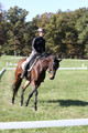 Brooke Bayley on Unbroken, Beginner Novice Horse Trials Senior A