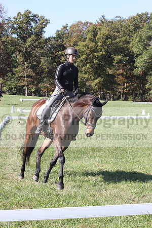 Brooke Bayley on Unbroken, Beginner Novice Horse Trials Senior A