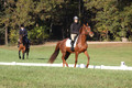 Jenny Rosner on Abbey Moon, Training Horse Trials