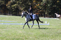 Michele Gnozzio on Dazzling, Beginner Novice Horse Trials Senior C