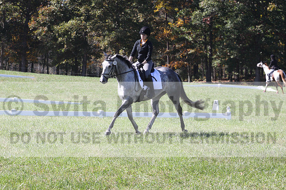 Michele Gnozzio on Dazzling, Beginner Novice Horse Trials Senior C