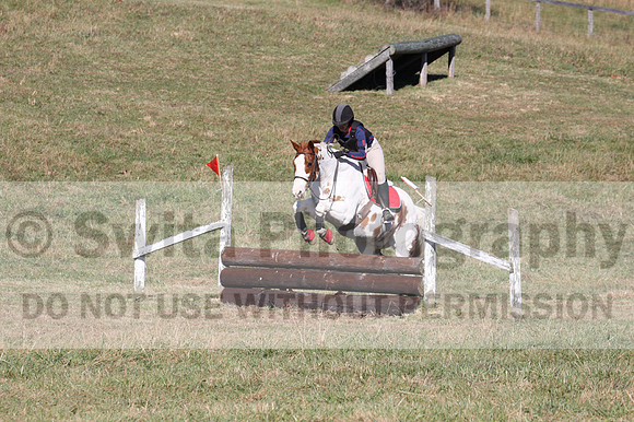 Corrine Woods on Chief's Star Dreammaker, Beginner Novice Horse Trials Senior B