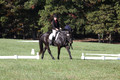 Melissa Kenny on F.O. Calculated Risk, Novice Horse Trials Senior B