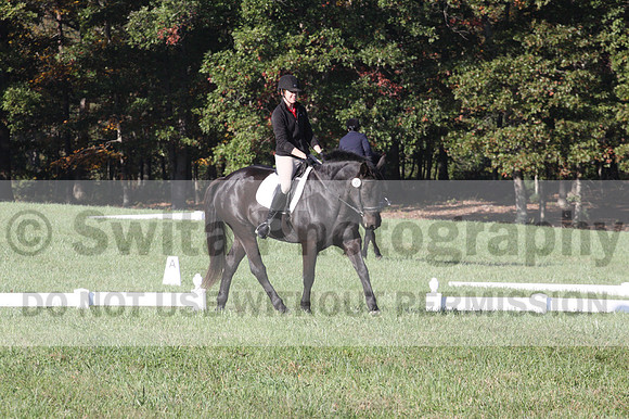 Melissa Kenny on F.O. Calculated Risk, Novice Horse Trials Senior B