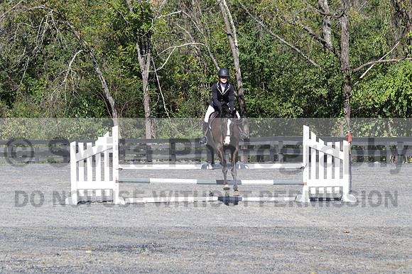 Wenzhao Zhang on High Roller, Beginner Novice Senior Horse Trials A