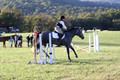 Elizabeth Brown on BallyGrace Encore, Green Horse Trials