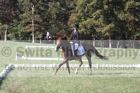 Maggie Proffitt on Wallstreet Melody, Novice Horse Trials Junior