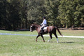 Pia Zuffoletti on Rio, Beginner Novice Horse Trials Junior A