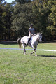 Carolyn Rutledge on Izzy, Advanced Green Horse Trials A