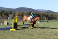 Clay Cooke on Clifford Dun It Again, Advanced Green Horse Trials B