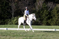 Jeanne Jeffer on Snowball's Chance, Green Horse Trials