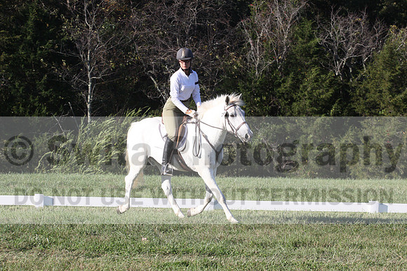 Jeanne Jeffer on Snowball's Chance, Green Horse Trials