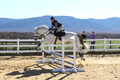 Jennifer Cobb on Snowbird, Beginner Novice Horse Trials Senior A