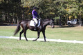 Judy Lancaster on Ride Sallie Ride, Beginner Novice Horse Trials Senior B