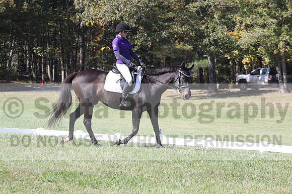 Judy Lancaster on Ride Sallie Ride, Beginner Novice Horse Trials Senior B