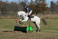 Jennifer Cobb on Snowbird, Beginner Novice Horse Trials Senior A