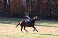 Ella Grier on Jean Louis Finch, Advanced Green Horse Trials Junior B
