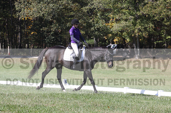 Judy Lancaster on Ride Sallie Ride, Beginner Novice Horse Trials Senior B