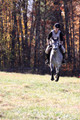 Josie Howard on Shenandoah Sea Lily, Beginner Novice Horse Trials Senior B