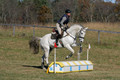 Jennifer Cobb on Snowbird, Beginner Novice Horse Trials Senior A