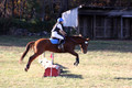 Kylie Oseguera on Boss Man, Advanced Green Horse Trials Junior B