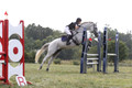 Abigail Winfree on Armani IV, JOT