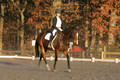 Thea Miller on Something Glamorous, Dressage Only: Training Level, Test 3