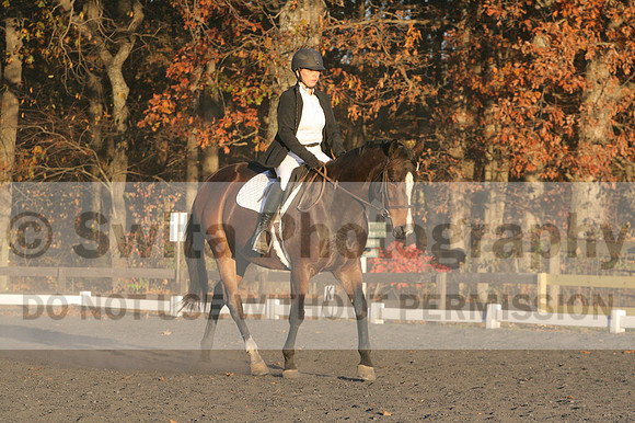 Thea Miller on Something Glamorous, Dressage Only: Training Level, Test 3