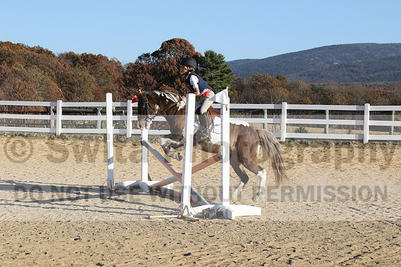 Reagan Roy on Paint By Numbers, Green Horse Trials Junior