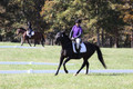 Judy Lancaster on Ride Sallie Ride, Beginner Novice Horse Trials Senior B