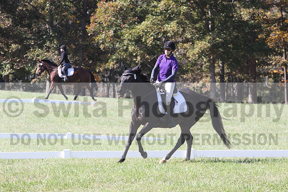 Judy Lancaster on Ride Sallie Ride, Beginner Novice Horse Trials Senior B