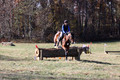 Francesca Toms on Top Secret, Novice Horse Trials Junior