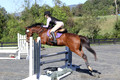 Mandolin Whitten on Thistle, Novice Horse Trials