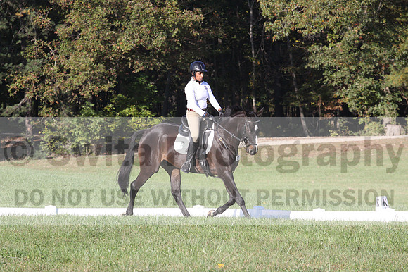 Anna White on Rocking The Ark, Novice Horse Trials Senior A