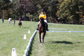 Emily Digney on American Airman, Beginner Novice Horse Trials Senior B