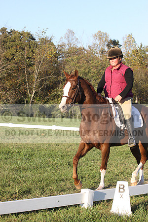 Katherine Palmer on Rio Time Roamer, Dressage Only: Intro A
