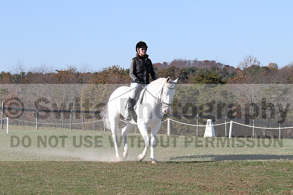 Kay Brady on Destiny's Mystique, Beginner Novice Horse Trials Senior B