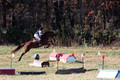 Ingrid Dunn on Ruby Redbird, Beginner Novice Horse Trials Senior C