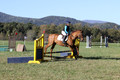 Clay Cooke on Clifford Dun It Again, Advanced Green Horse Trials B