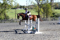 Mandolin Whitten on Thistle, Novice Horse Trials
