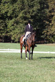 Margo Hardy on Soling's Hat Trick, Novice Horse Trials Senior B